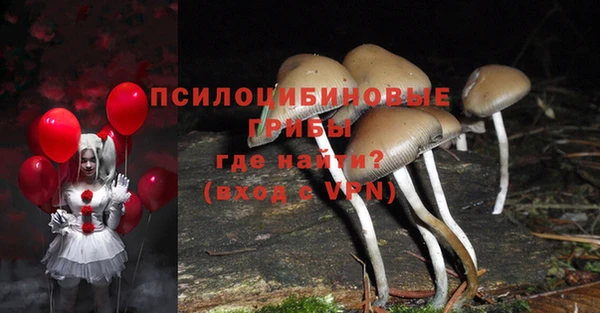 первитин Армянск